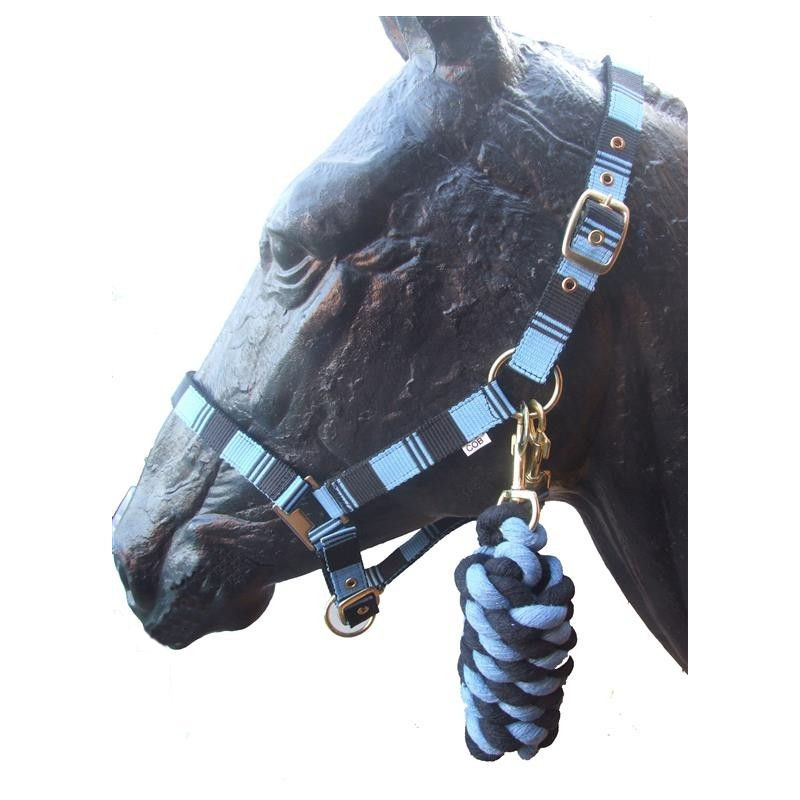 HeadCollars, Halters and Lead Ropes warmwellsaddlery.co.uk
