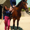 Rhinegold Essential Jodhpurs - Image 4