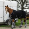 Rhinegold 'Elite' Fleece Rug - Image 4