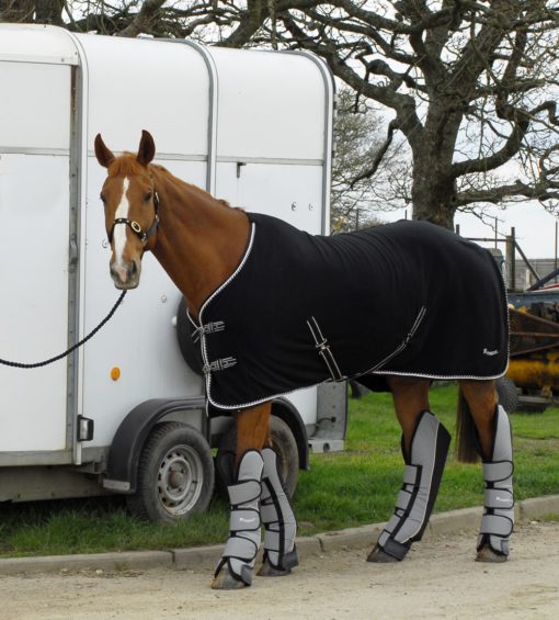 Rhinegold 'Elite' Fleece Rug - Image 4