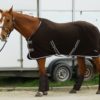 Rhinegold 'Elite' Fleece Rug - Image 3