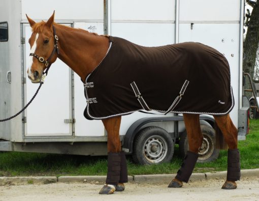 Rhinegold 'Elite' Fleece Rug - Image 3
