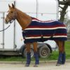 Rhinegold 'Elite' Fleece Rug - Image 2