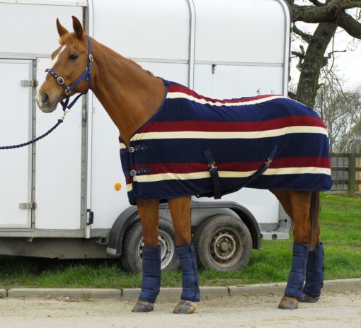 Rhinegold 'Elite' Fleece Rug - Image 2