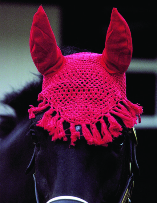 Crochet Fly Veil